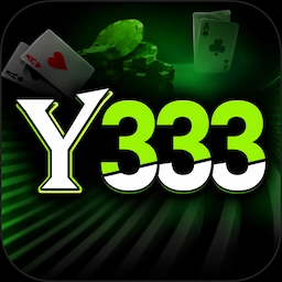 Y333